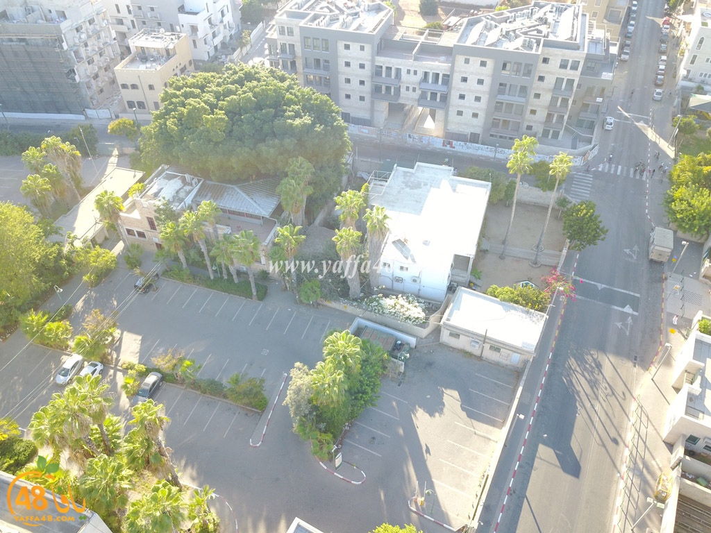 jamal basha tsterre (29).JPG